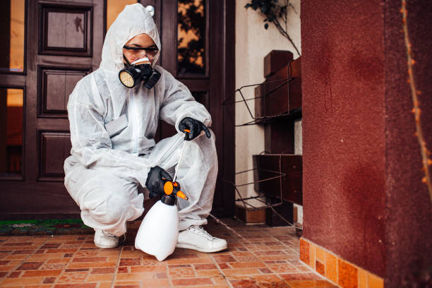 Reliable Bed Bug Control contractor in Ivyland, PA by Nex Pest Control