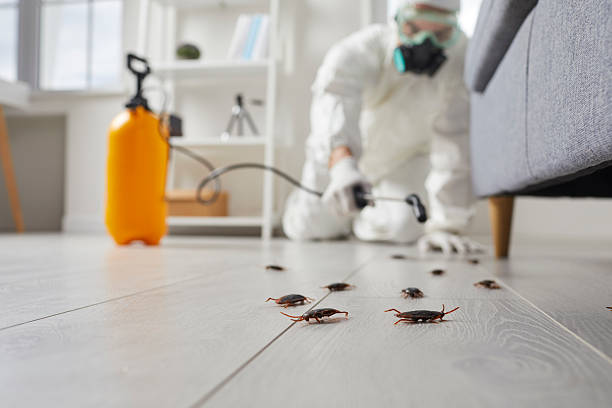 Trusted Termite Control service in Ivyland, PA - Nex Pest Control