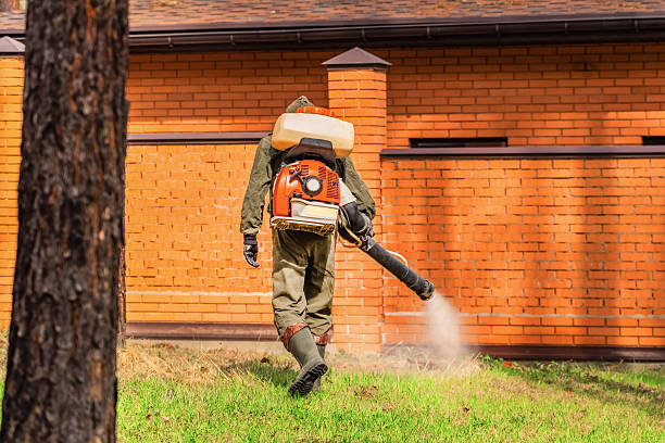 Trusted Bed Bug Control service in Ivyland, PA - Nex Pest Control